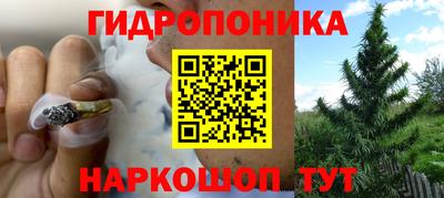 СК Моздок